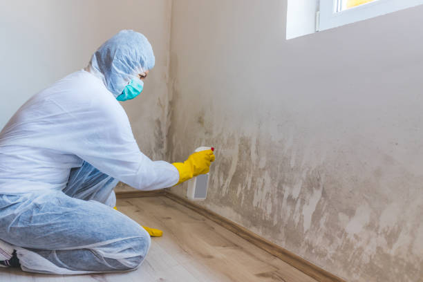 Certified Mold Remediation team at work