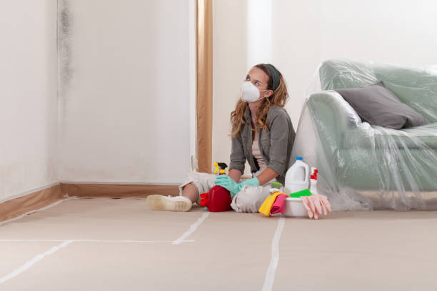 Mold remediation specialists ready to help