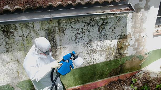 Mold Remediation specialists serving USA